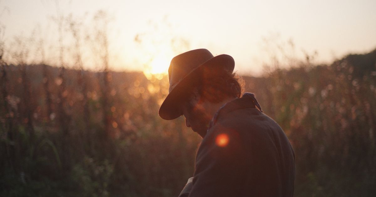 Silent stories + Under a familiar sun + Blackbirds and the sun of October